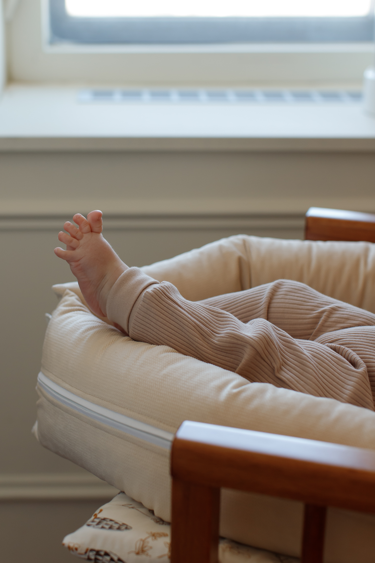babynest catifea